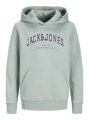 JJECALEB VARISITY SWEAT HOOD JNR ICEBERG GREEN/LOOSE