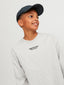 JORVESTERBRO TEE LS CREW NECK - MOONBEAM