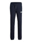 JPSTGORDON JJNEWSOFT SWEAT PANT - MARINE