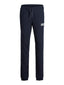 JPSTGORDON JJNEWSOFT SWEAT PANT - MARINE