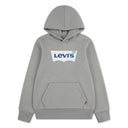 LVB BATWING SCREENPRINT HOODIE - GHOST GRAY