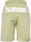 HMLFLIK SHORTS ELM