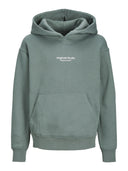 JORVESTERBRO SWEAT HOOD - LAUREL WREAT