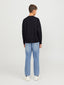 JORVESTERBRO TEE LS CREW NECK - BLACK