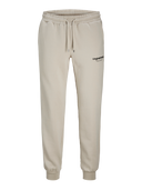 JPSTGORDON JJVESTERBRO CUFFED JNR PANT - MOONBEAM