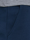 JPSTGORDON JJNEWSOFT SWEAT PANT - MARINE