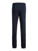 JPSTGORDON JJNEWSOFT SWEAT PANT - MARINE