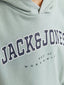 JJECALEB VARISITY SWEAT HOOD JNR ICEBERG GREEN/LOOSE