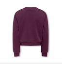 KOGSWEAT LS CREW OVZ STAT SWT - MAUVE WINE