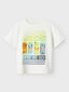 NKMMABR POKEMON NREG SS TOP CLOUD DANCER