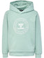 HMLCUATRO CIRCLE HOODIE - BLUE SURF