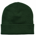 HMLJR KNIT BEANIE - DARK GREEN