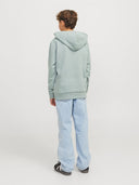 JJECALEB VARISITY SWEAT HOOD JNR ICEBERG GREEN/LOOSE