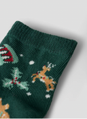 NBNVISMAS SOCK - BOTANICAL GARDEN