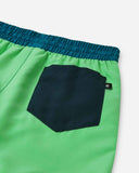 SUNPROOF BEACH SHORTS PALMU NAVY