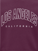 KOGSWEAT LS CREW OVZ STAT SWT - MAUVE WINE