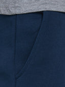 JPSTGORDON JJNEWSOFT SWEAT PANT - MARINE