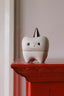 TOOTH BOX OFF WHITE