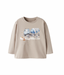 NMMNARI LS NREG TOP - ISLAND FOSSIL
