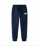 NKMSANDER NREG SWE PANT - NAVY BLAZER