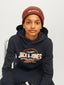 JACVESTERBRO BEANIE BRANDY BROWN