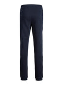 JPSTGORDON JJNEWSOFT SWEAT PANT - MARINE