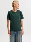 JACK & JONES - JJEORGANIC BASIC TEE SS O-NECK JNR - SCARAB
