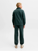 JPSTKANE SOHO SWEAT PANTS - SCARAB