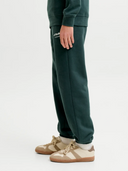 JPSTKANE SOHO SWEAT PANTS - SCARAB