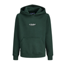 JJESOHO SWEAT HOOD NOOS JNR - SCARAB