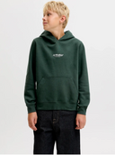 JJESOHO SWEAT HOOD NOOS JNR - SCARAB