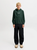 JJESOHO SWEAT HOOD NOOS JNR - SCARAB