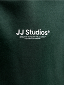 JJESOHO SWEAT HOOD NOOS JNR - SCARAB